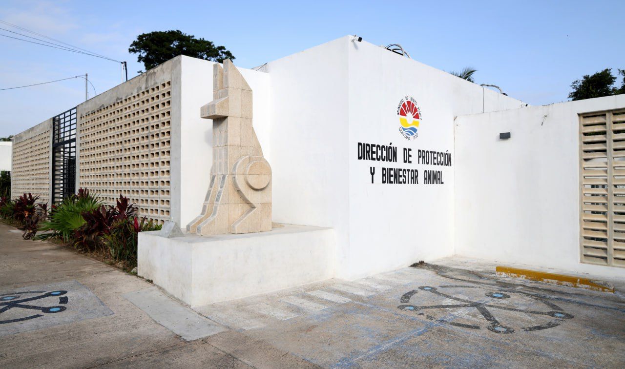 uploads/6/32/01 (144).Jpg